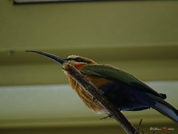 Tiergarten Schönbrunn am 23.03.2023